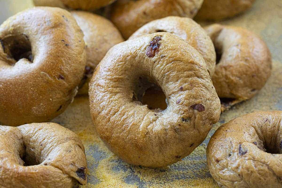 Cinnamon Raisin Bagels are homemade bagels that are loaded with plump raisins and just the right amount of cinnamon spice! Cinnamon Raisin Bagels, How to Make Cinnamon Raisin Bagels, Easy Cinnamon Raising Bagels, the best bagels, homemade bagels, the Best Homemade Bagels, Sweet Bagels, Bagel Recipe, Breakfast, Recipes, i am baker, iambaker 肉桂葡萄干百吉饼锅