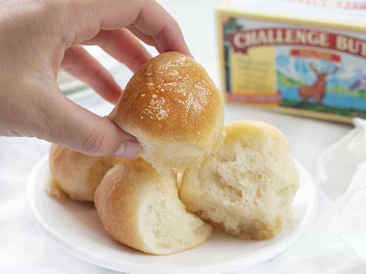 Buttery Bubble Bread is homemade bread that is a soft, salty, and buttery pull-apart bread that is easy to make and perfect for dinner rolls! Butter Bread, Bubble Bread, Buttery Bubble Bread, Bundt Bread, Dinner Rolls, Thanksgiving, Christmas rolls, bread recipe, homemade bread, rolls, i am baker, iambaker, recipes 手拿一片气泡面包