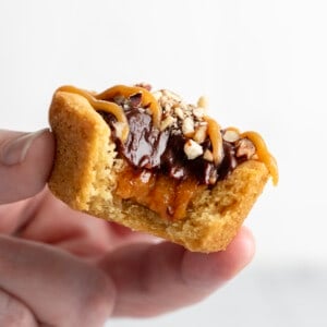 牵手到龟饼干杯。