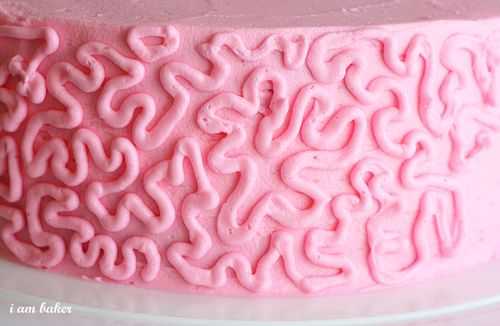 IMG_7906.stamp IMG_7906.stamp