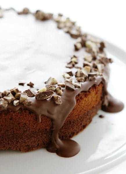 巧克力薄荷蛋糕!