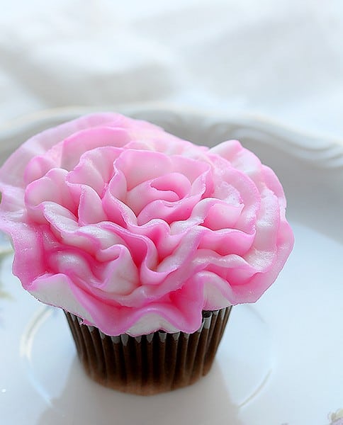 如何管奶油乳酪康乃馨!(视频)