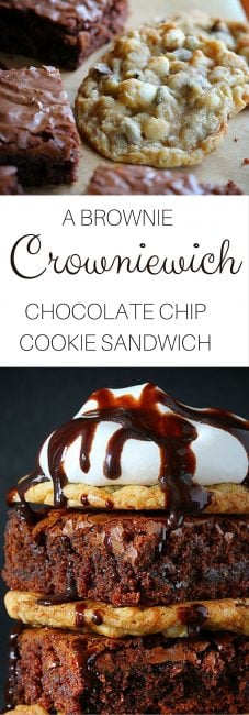 一咬,你的生活发生了改变。和很简单! !