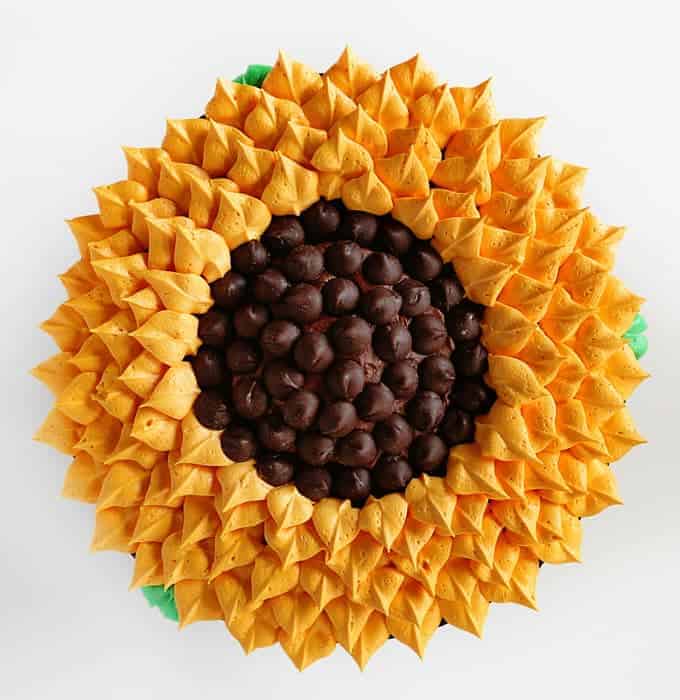 简单,有趣,当然好吃!我的孩子们喜欢帮助这个蛋糕!