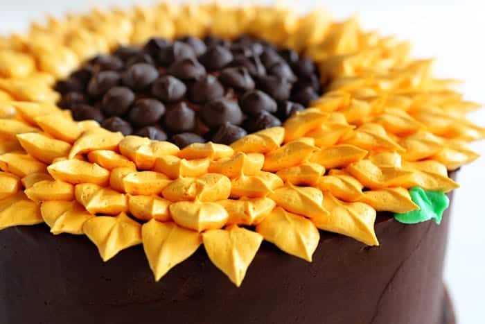 简单的蛋糕,但漂亮的看!