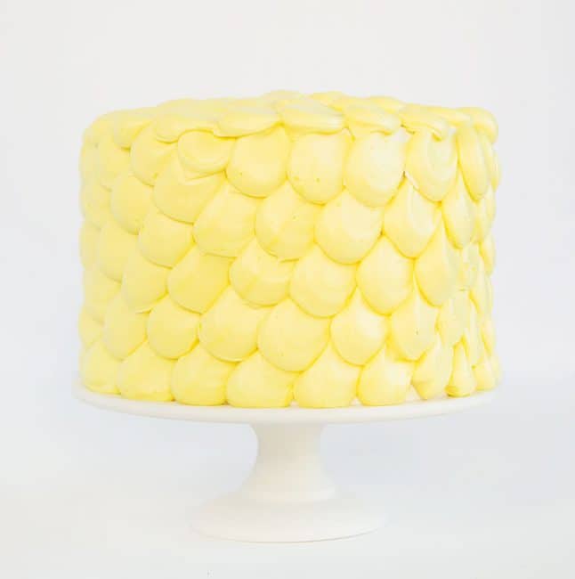 简单而优雅的设计完美的蛋糕装饰师开始!