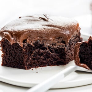 块双软糖蛋糕删除一口咬在旁边的叉。