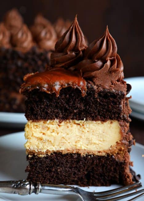 说真的，这是你吃过的最好的芝士蛋糕!