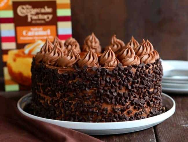 说真的，这是你吃过的最好的芝士蛋糕!