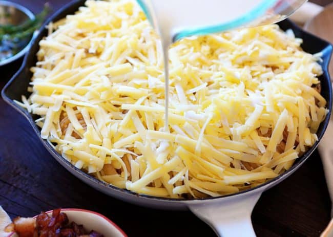 漂亮的贝壳土豆