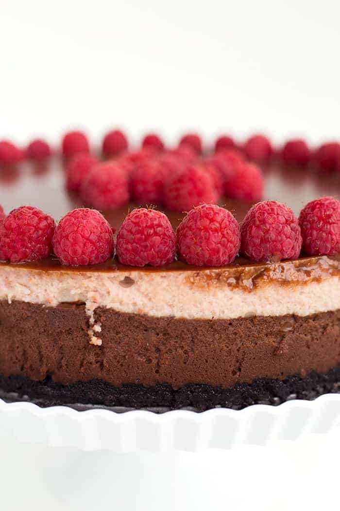 巧克力覆盆子芝士蛋糕食谱