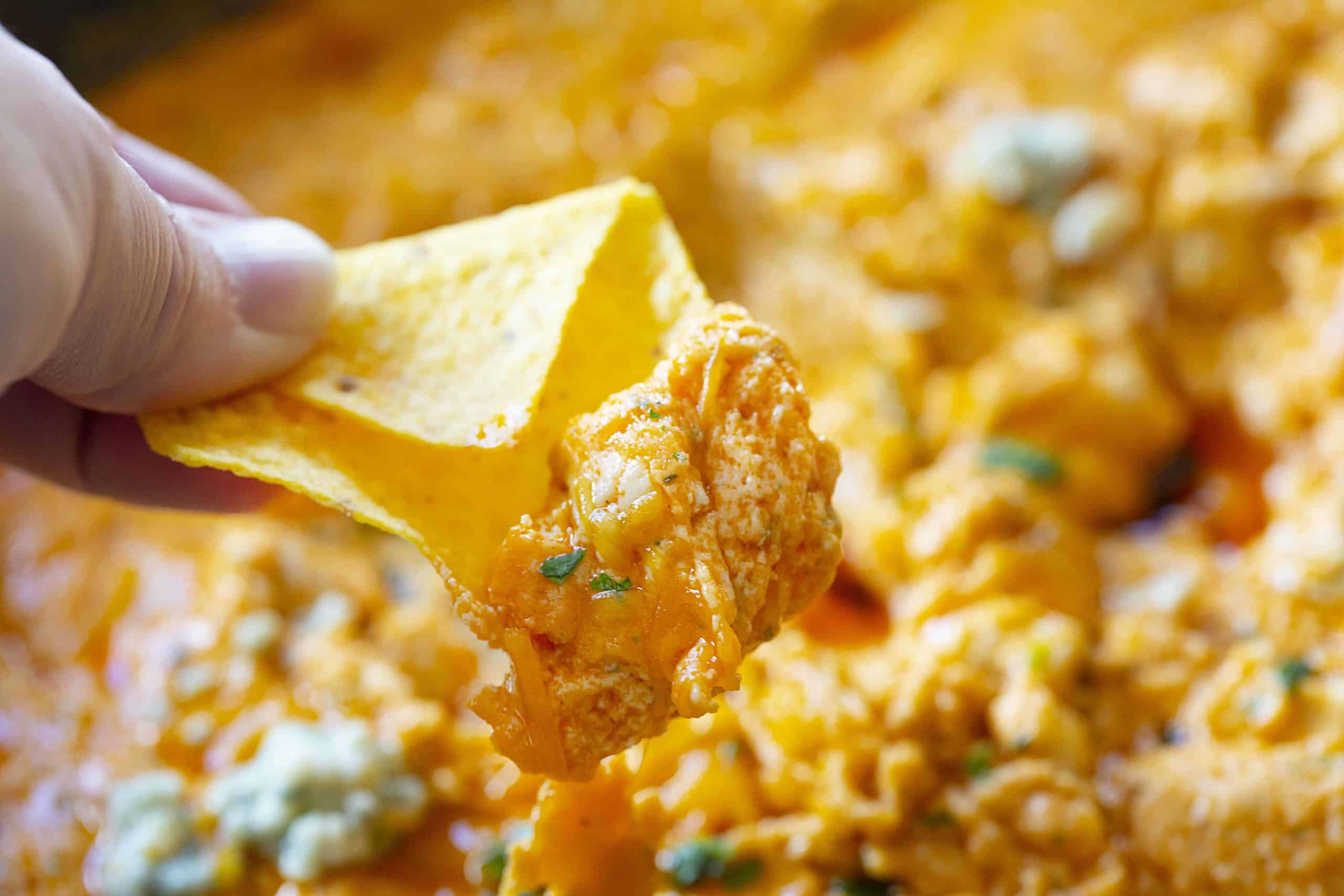 芝士布法罗鸡肉蘸酱