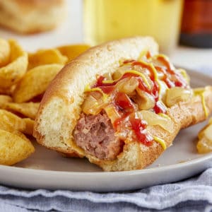 慢炖锅啤酒的后代与焦糖洋葱