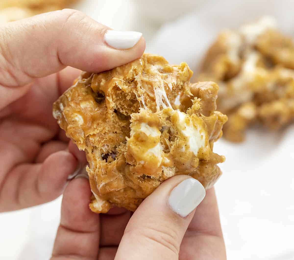 手拿南瓜香料饼干和撕成两半