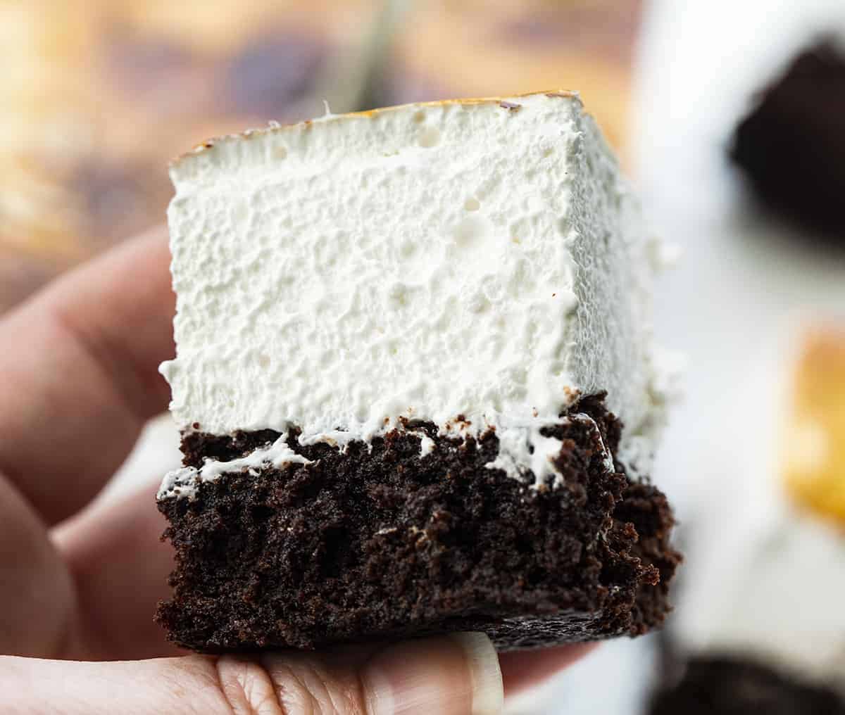 手握烤棉花糖布朗尼