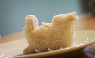 IMG_0322.lightercooler