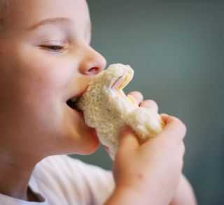 IMG_0305.lightcooler