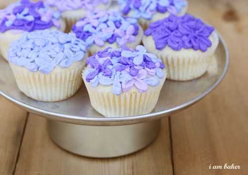 IMG_4768.lilaccupcake